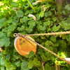 elizabethcampbelljones Altpins Profile Picture