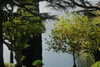annabottoo Altpins Profile Picture
