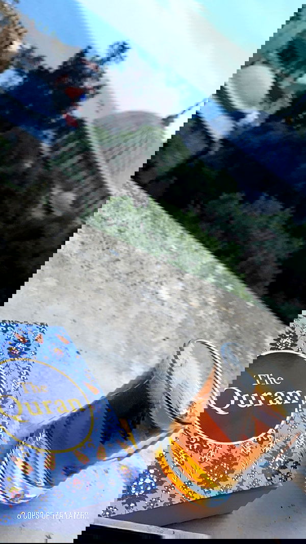 taylor.creeden taylor.creeden archive image