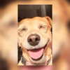 maori_cohen Altpins Profile Picture