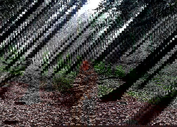 kitty.elliss kitty.elliss archive image