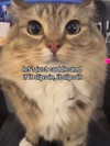 milkiwifey Altpins Profile Picture