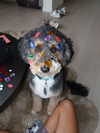 realcamillaara Altpins Profile Picture