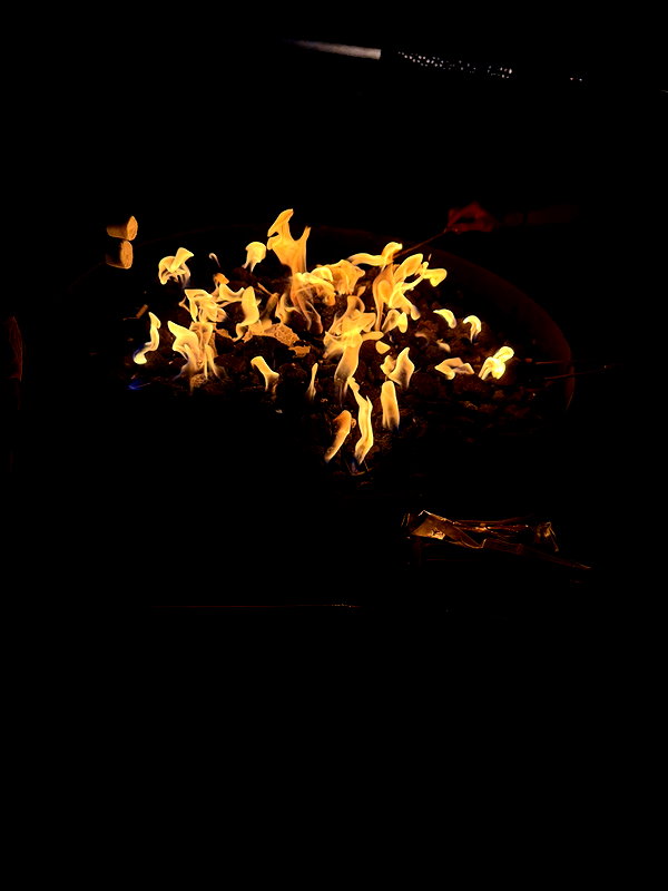 cellow111 instagram image archive image