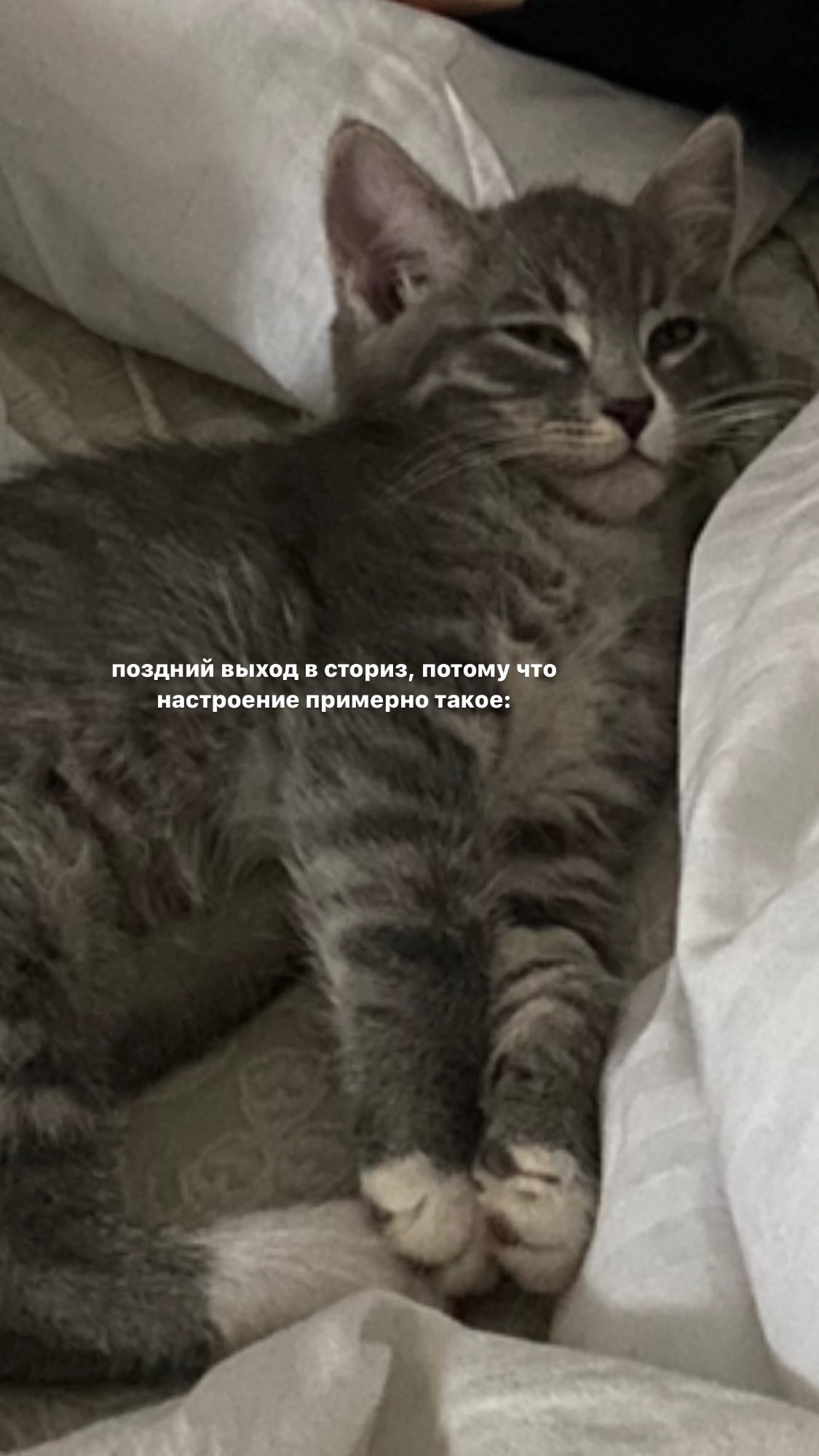 kkulakovaa instagram image archive image