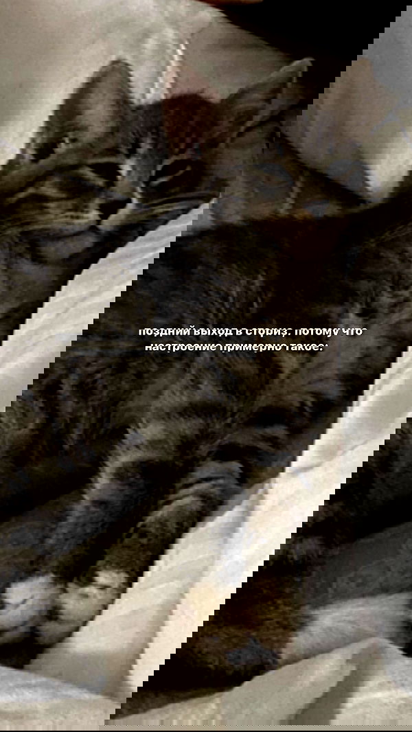 kkulakovaa image ~ Altpins