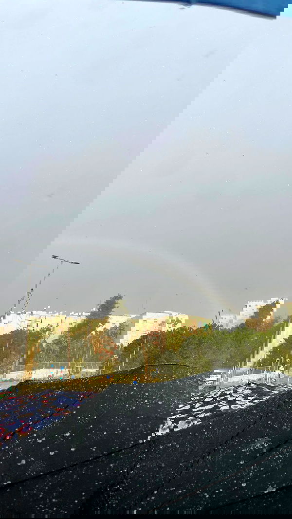 dante_yangpa dante_yangpa archive image