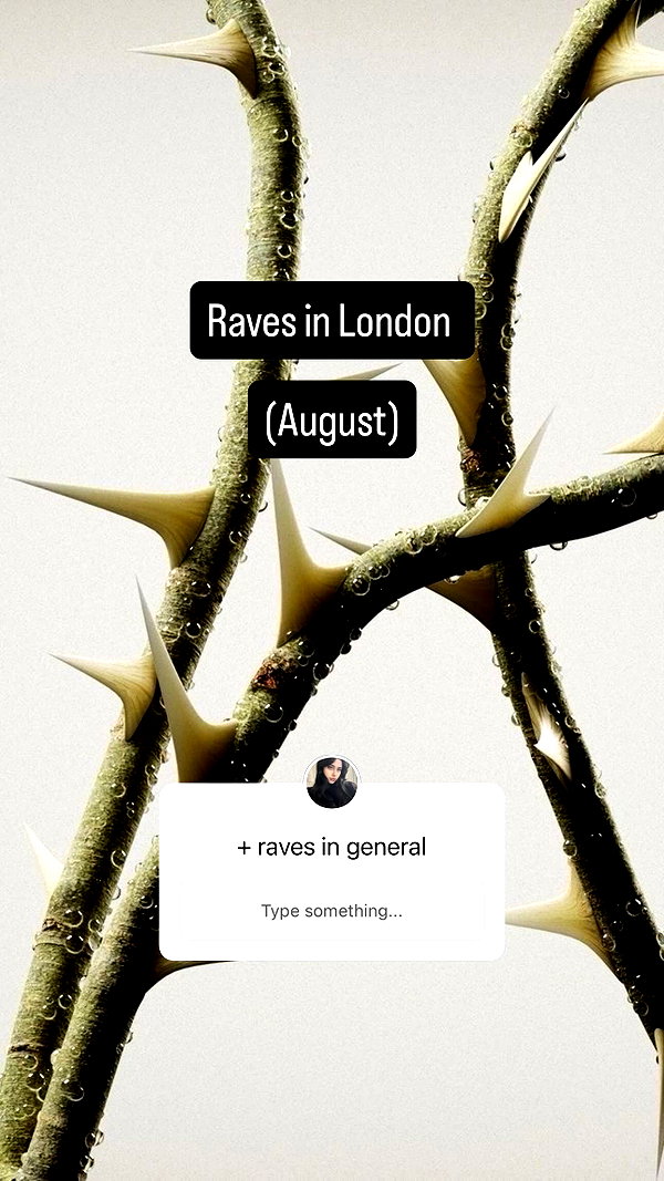 liashaked instagram image archive image