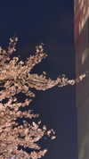 yuna_1_27 Altpins Profile Picture