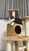sonia_litvanchuk Altpins Profile Picture