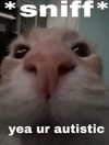 milkiwifey Altpins Profile Picture