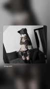 angvethh Altpins Profile Picture