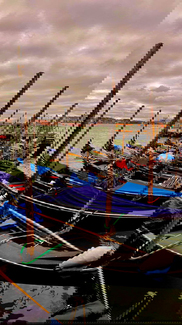 taylor.creeden taylor.creeden archive image