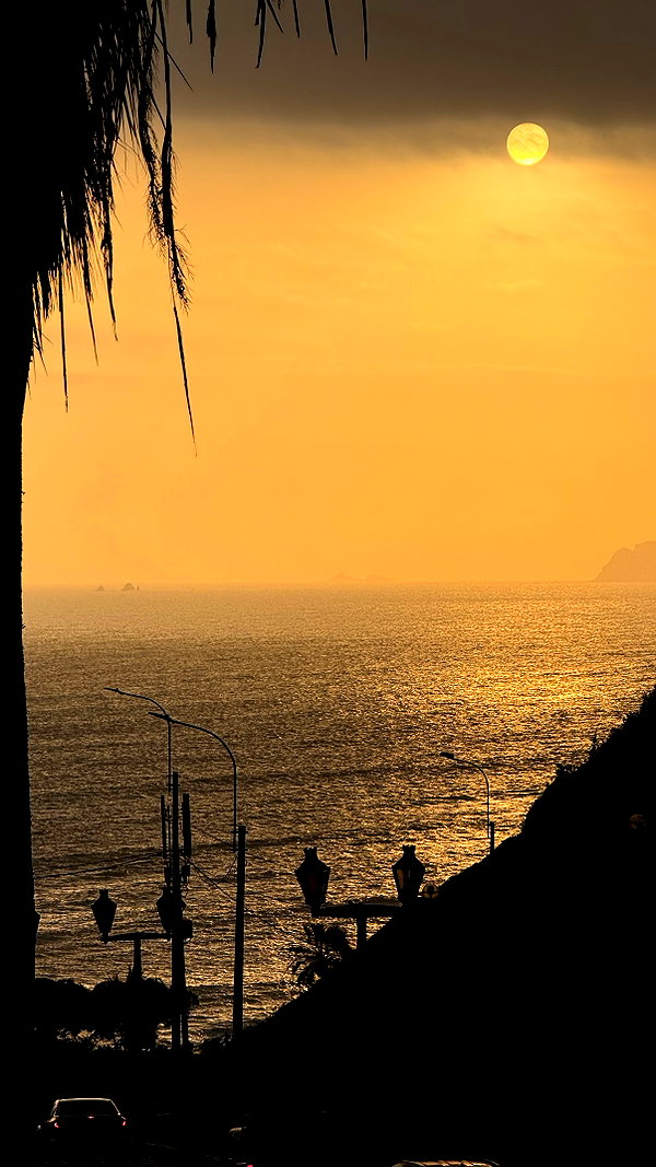 solzarubin_ instagram image archive image