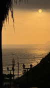 solzarubin_ Altpins Profile Picture