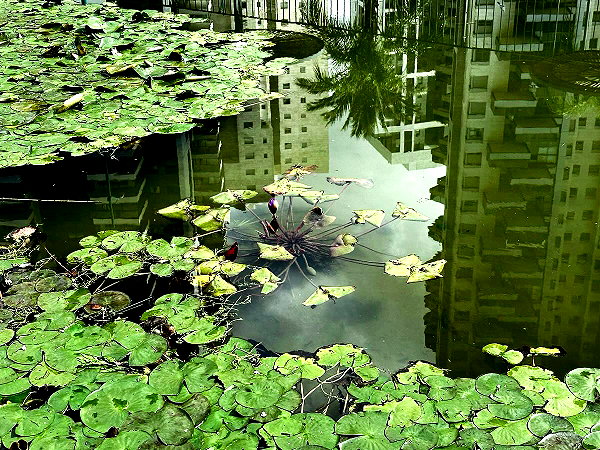 naamasini instagram image archive image