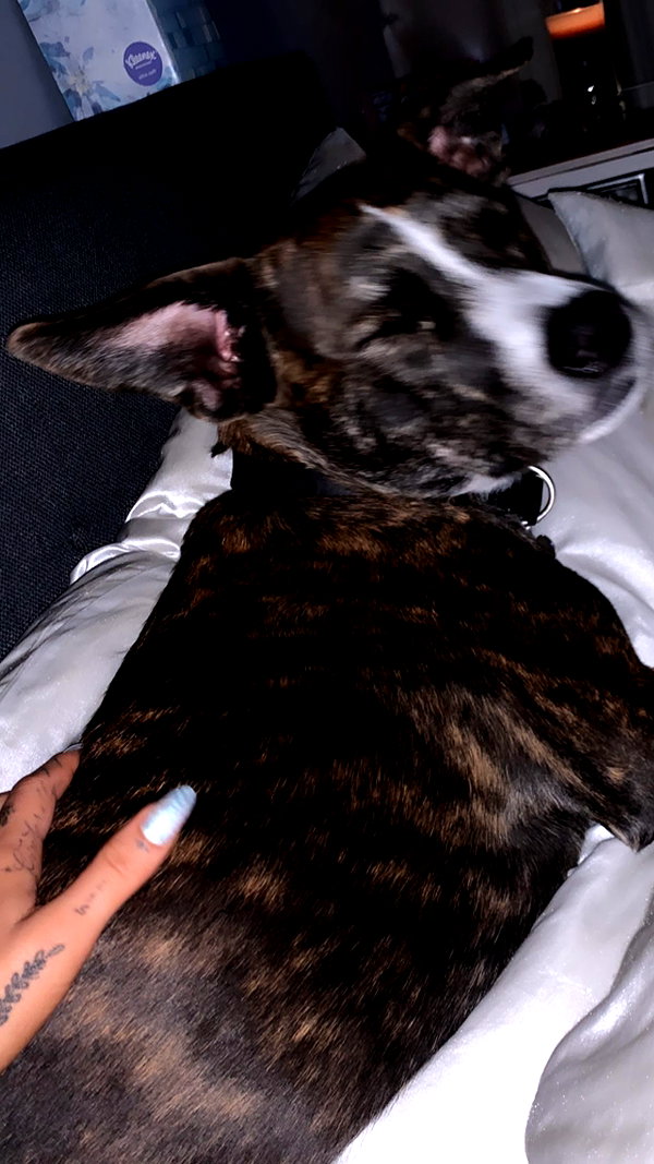 arianagrande instagram image archive image