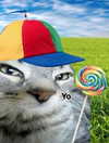milkibunshehe Altpins Profile Picture