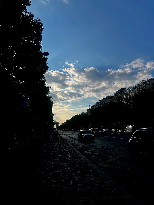 majawitzell instagram image archive image