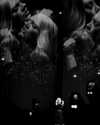 adele Altpins Profile Picture