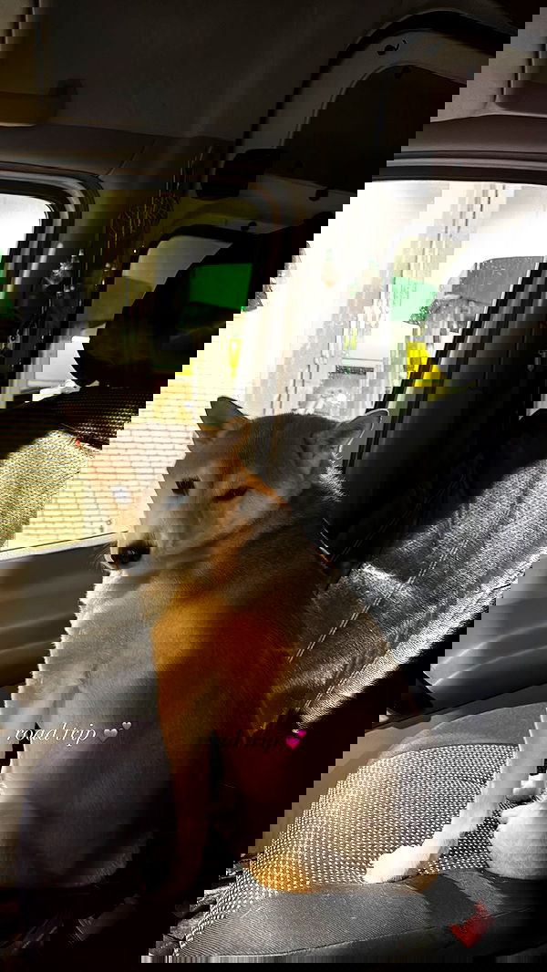 zommmbri zommmbri archive image