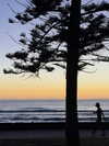 allygravemade Altpins Profile Picture