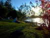 daisy_r_19 Altpins Profile Picture