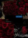 iremb.8l Altpins Profile Picture
