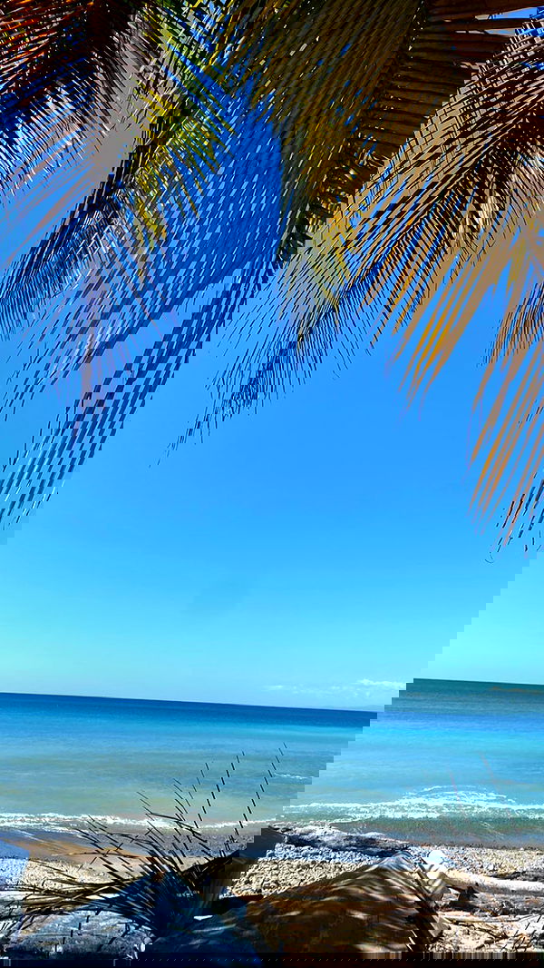 taylor.creeden taylor.creeden archive image