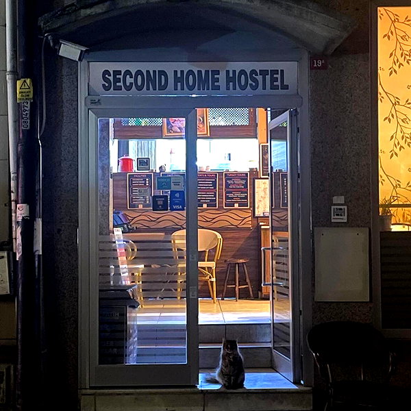 borkwsmh instagram image archive image