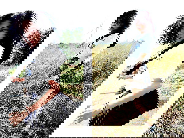 ting851204 ting851204 archive image