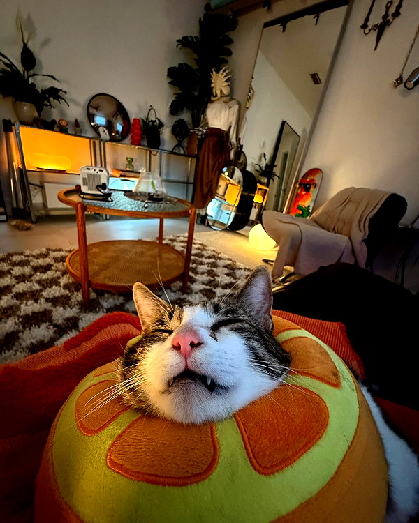 peachtoot.plz instagram image archive image
