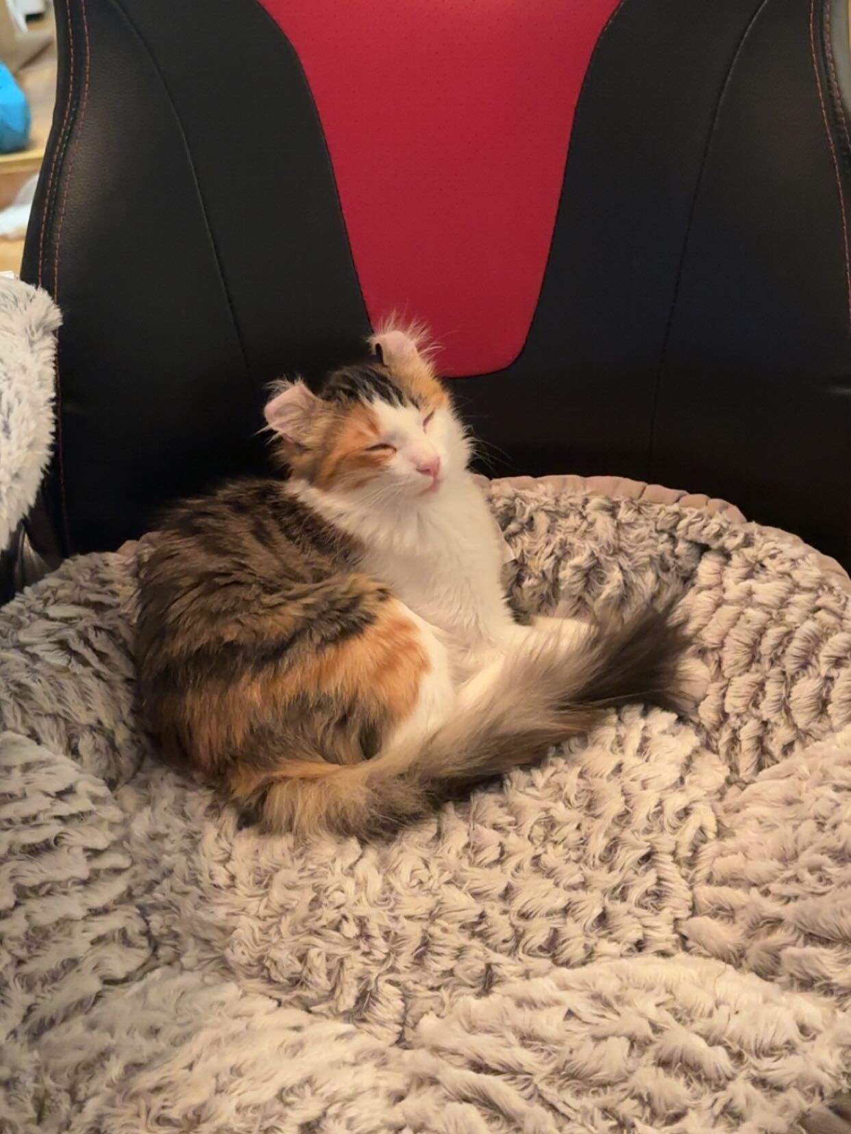 silkton instagram image archive image