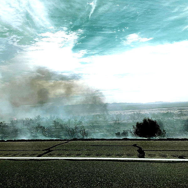 lolontlia instagram image archive image