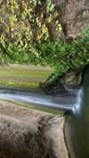 aviyabrami_ Altpins Profile Picture