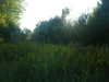 m1lkh8club Altpins Profile Picture