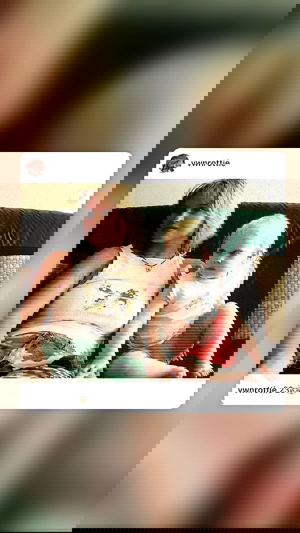 vwnrottie vwnrottie archive image