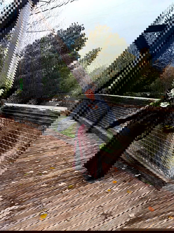 strawberryshanz strawberryshanz archive image