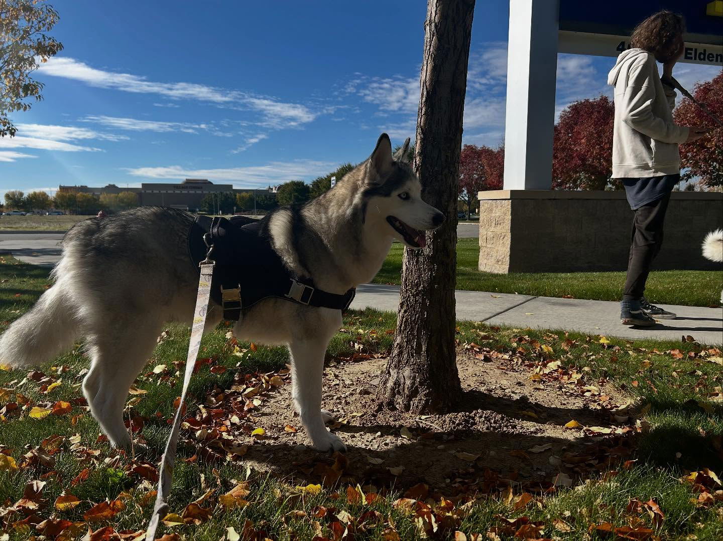 _animechika_ instagram image archive image