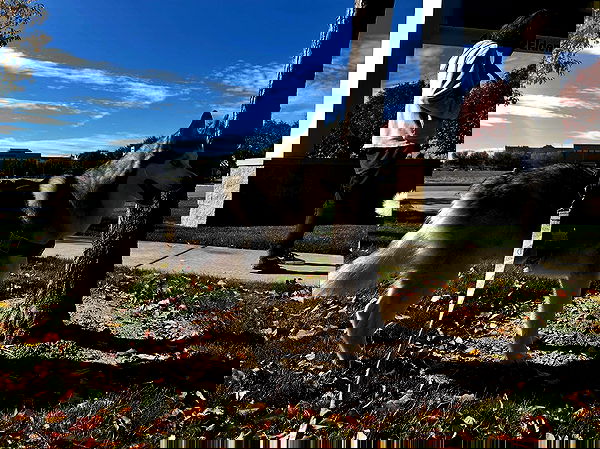 _animechika_ image ~ Altpins