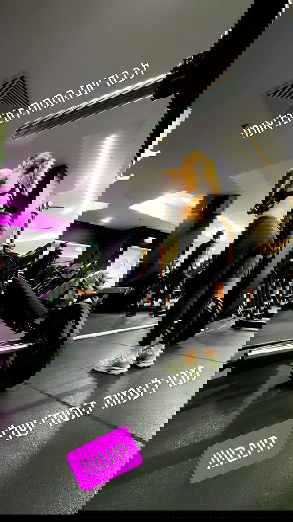 iambohema.v2 iambohema.v2 archive image