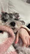 miisu000 Altpins Profile Picture