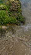 kristti.a Altpins Profile Picture