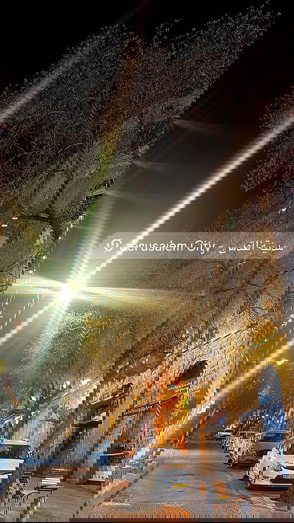 avitallllllllllllllll avitallllllllllllllll archive image