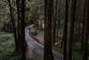 2.hui__ Altpins Profile Picture