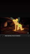 anya4everr Altpins Profile Picture