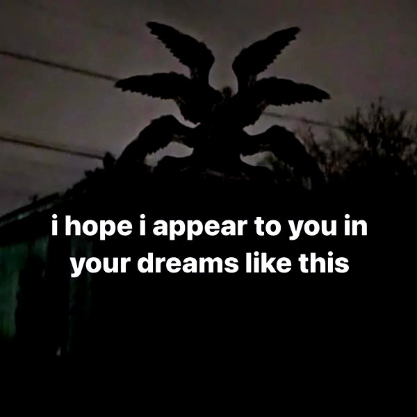 pipssqueakss instagram image archive image