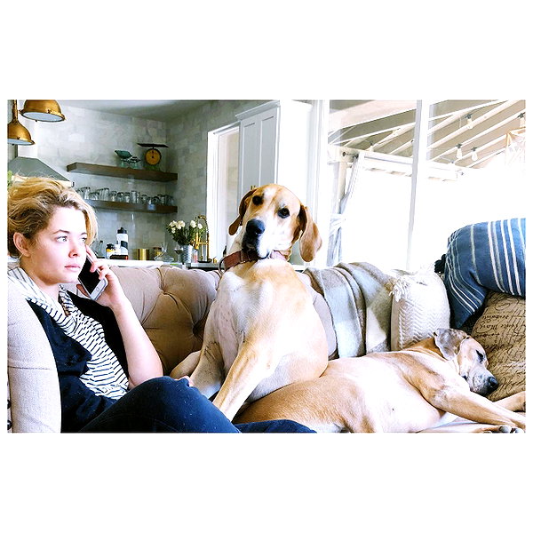 sashapieterse instagram image archive image