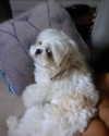 gabimfmoura Altpins Profile Picture