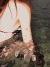 ll.lu1s Altpins Profile Picture